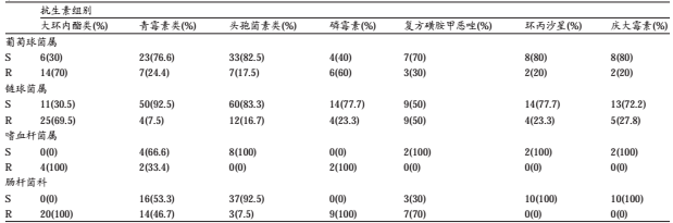 上颌窦提升