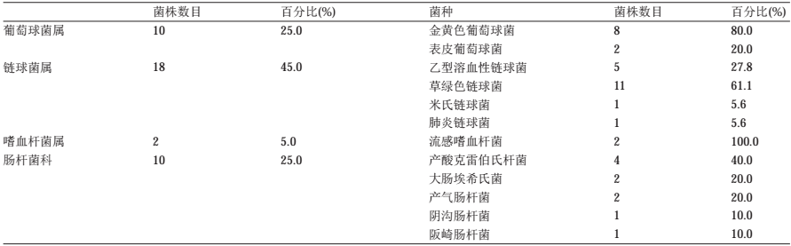 上颌窦提升